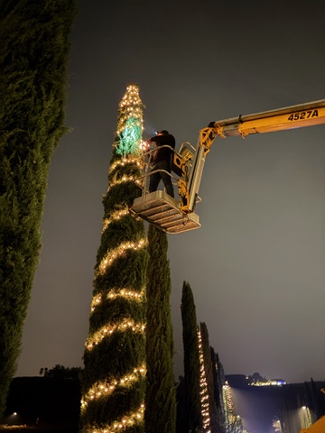 Christmas Lights Installation in Corona