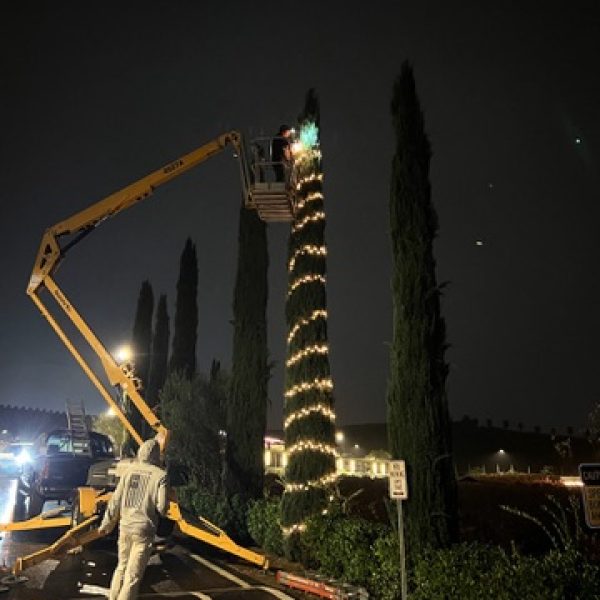 Christmas Lights Installation in Corona