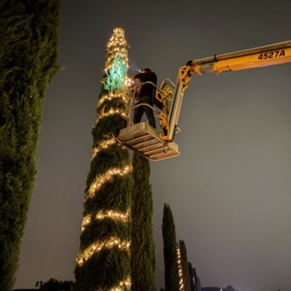 Christmas Lights Installation in Corona